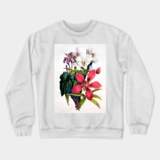 Flowers 1825 Iris, African-Hemp, Ketmia Crewneck Sweatshirt